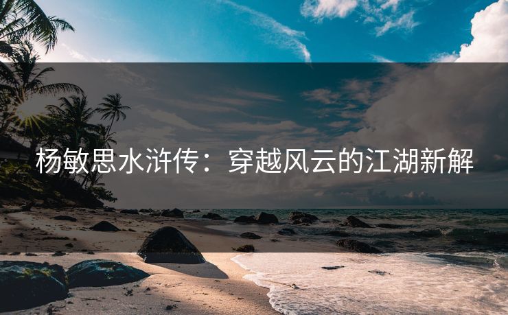 杨敏思水浒传：穿越风云的江湖新解  第1张