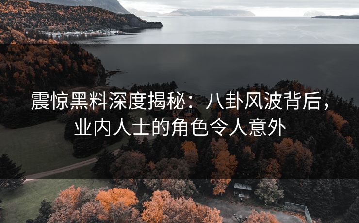 震惊黑料深度揭秘：八卦风波背后，业内人士的角色令人意外