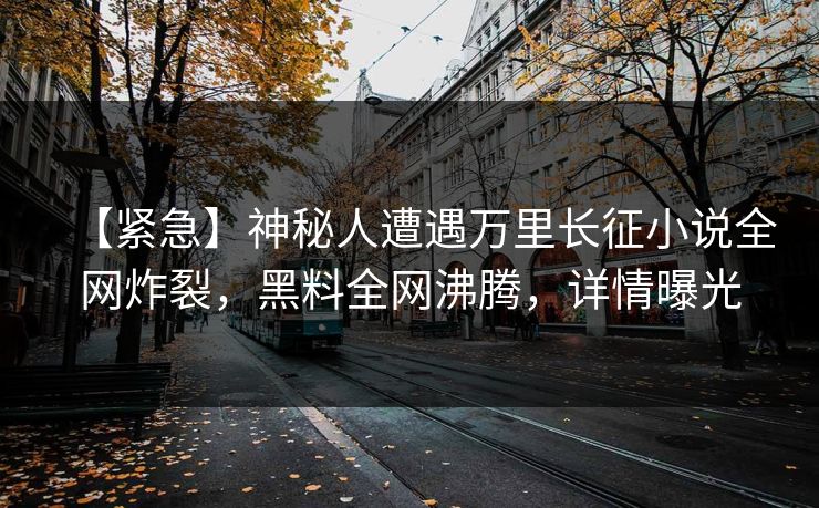 【紧急】神秘人遭遇万里长征小说全网炸裂，黑料全网沸腾，详情曝光