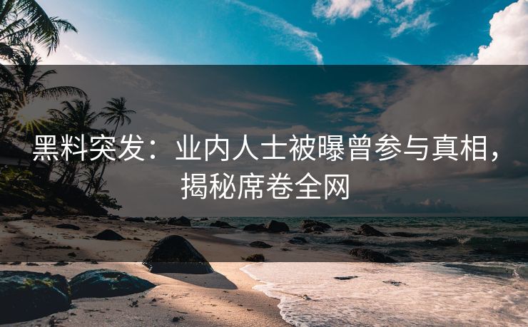 黑料突发：业内人士被曝曾参与真相，揭秘席卷全网