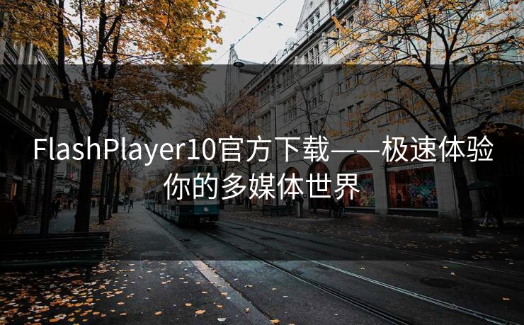 FlashPlayer10官方下载——极速体验你的多媒体世界